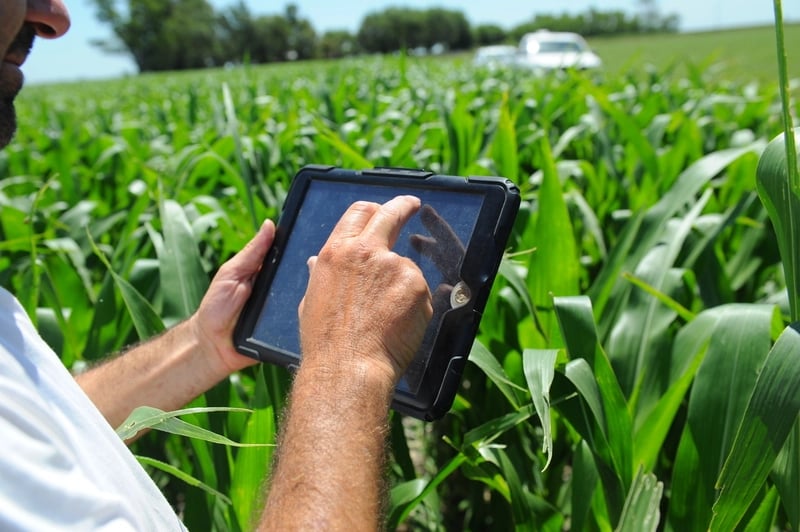 Los software de gestión agrícola ayudan a la toma de decisiones a campo, a partir de los datos que recolectan