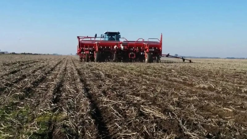 Sembradora de trigo avanza sobre rastrojo de soja, durante la siembra de este cereal de invierno