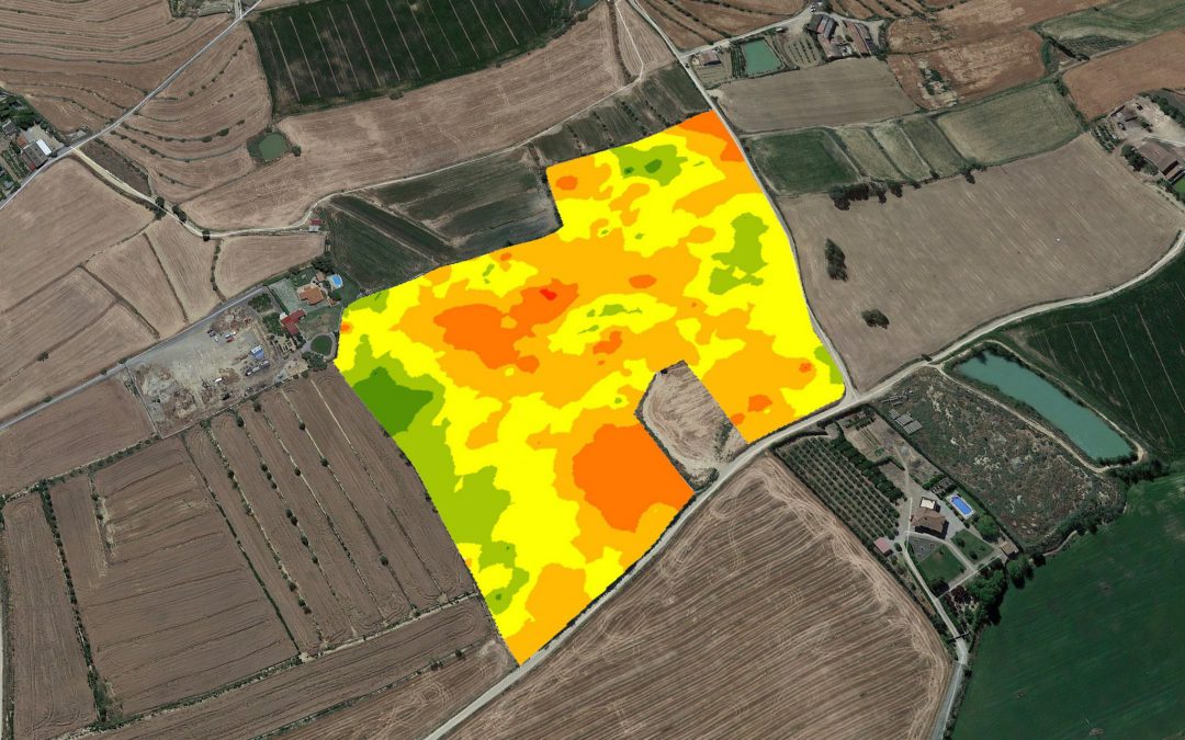 Mapa de monitoreo de un lote que muestra el crecimiento de un cultivo en los distintos ambientes