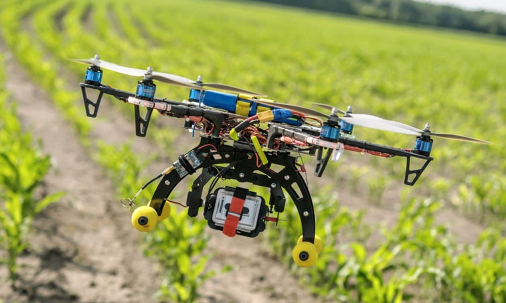 Foto de drone sobrevolando el cultivo como práctica común de la agricultura de precisión
