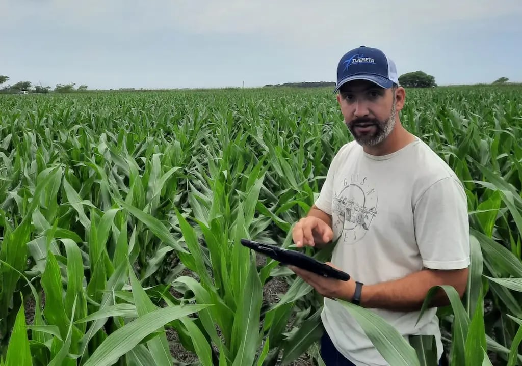 Alejandro Salaberry, ingeniero agrónomo y asesor en el centro de Córdoba , analizando datos en un lote de maíz