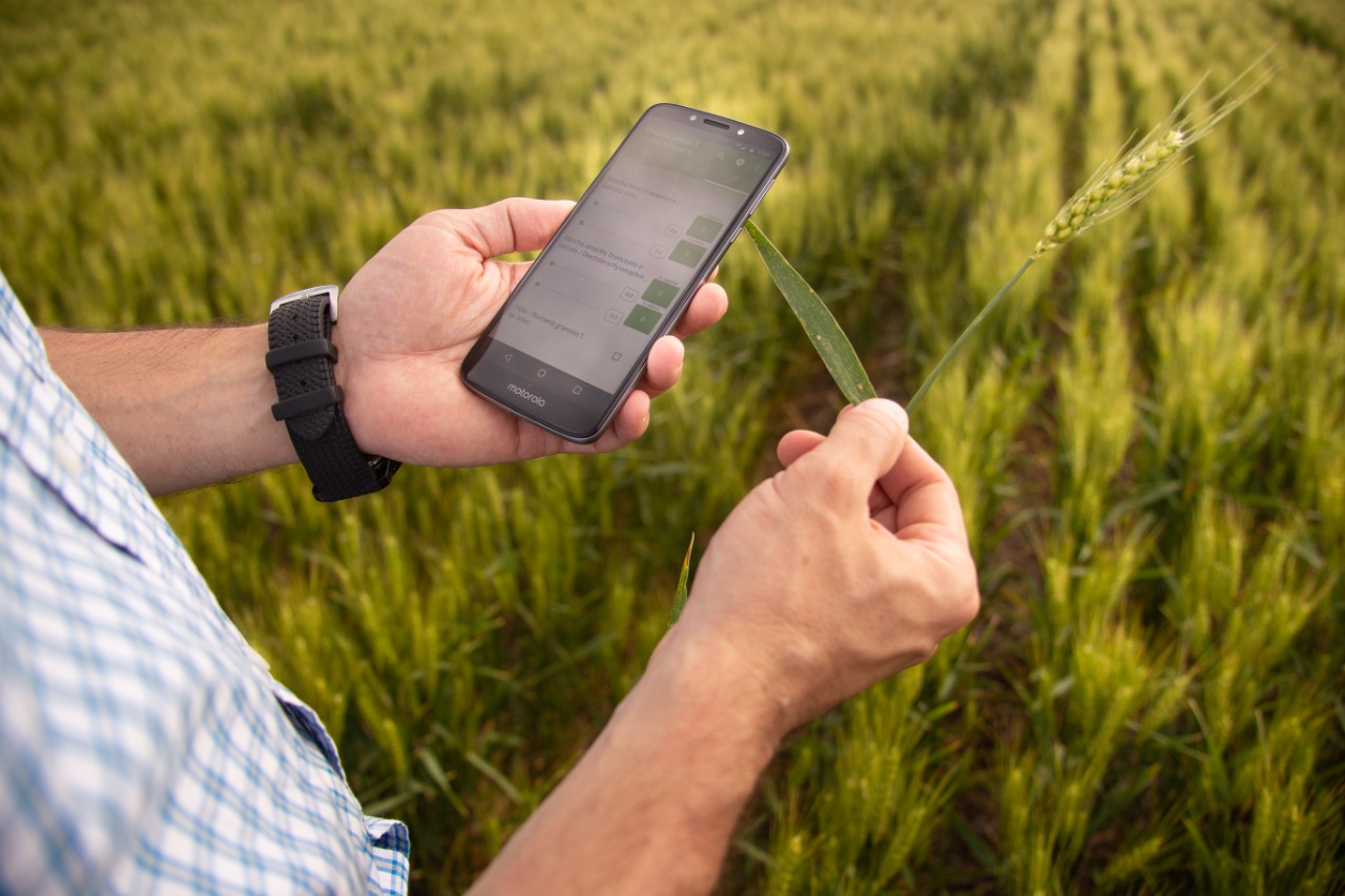 SIMA, tecnología agrícola para el monitoreo de cultivos agrícolas