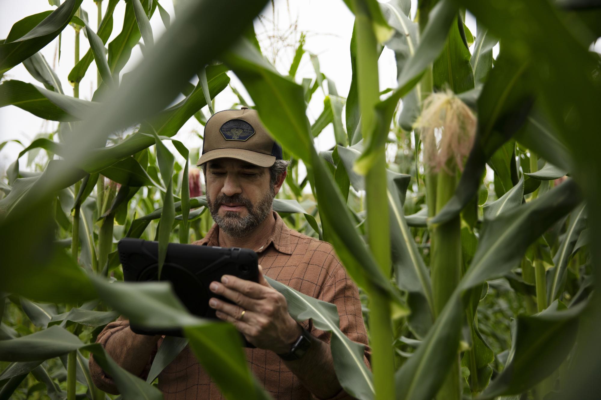 Hombre haciendo el monitoreo en un lote de maíz desde una tablet, gracias a la revolución agrícola.