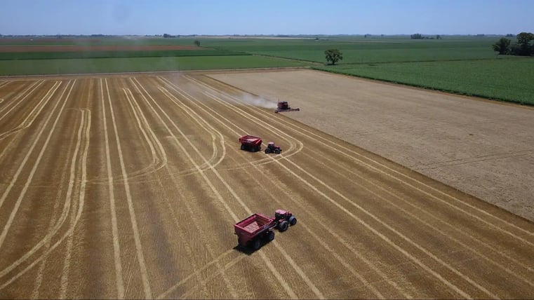 tecnologia agricola fieldview