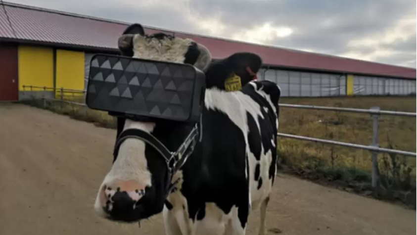 Una persona con un caballo
El contenido generado por IA puede ser incorrecto.