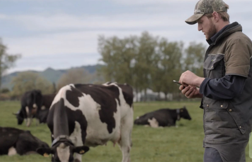 Un hombre con una vaca en el campo
El contenido generado por IA puede ser incorrecto.