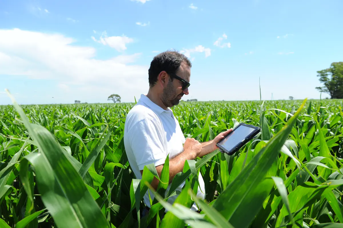 Productor con FieldView en un campo de maíz